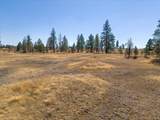 36377 Bootstrap Ln - Photo 6