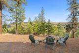 31741 Ringneck Ln - Photo 26