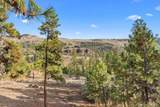 31741 Ringneck Ln - Photo 29