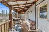 3031 Hall Creek Rd - Photo 20