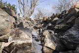 10110 Moss Ln - Photo 46