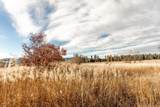 7824 Dahl Rd - Photo 43