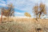 7824 Dahl Rd - Photo 48
