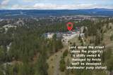 4223 Bush Dr - Photo 48