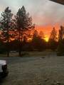 38116 Sheets Rd - Photo 37