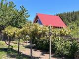 717 Conrad Hill Way - Photo 35