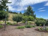 717 Conrad Hill Way - Photo 37