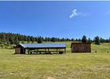 717 Conrad Hill Way - Photo 42