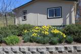 10017 Stevens Creek Rd - Photo 46