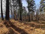 2897 Mcnitt Rd - Photo 34