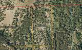 6658 Sand Flats Rd - Photo 15