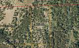 6658 Sand Flats Rd - Photo 16