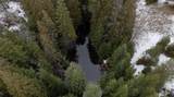 1371 Willms Rd - Photo 37
