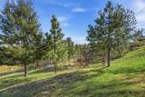 37765 Halme Dr - Photo 38