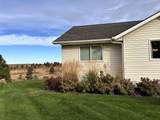 37765 Halme Dr - Photo 45