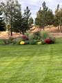37765 Halme Dr - Photo 46