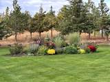 37765 Halme Dr - Photo 47