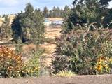 37765 Halme Dr - Photo 48
