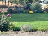 37765 Halme Dr - Photo 50