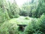 3121 Fifteen Mile Creek Rd. Rd - Photo 30