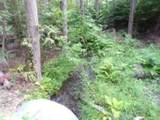 3121 Fifteen Mile Creek Rd. Rd - Photo 31
