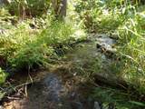 3121 Fifteen Mile Creek Rd. Rd - Photo 32