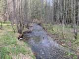 3121 Fifteen Mile Creek Rd. Rd - Photo 35