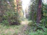 3121 Fifteen Mile Creek Rd. Rd - Photo 38
