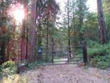3121 Fifteen Mile Creek Rd. Rd - Photo 40
