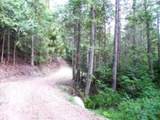 3121 Fifteen Mile Creek Rd. Rd - Photo 41