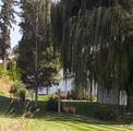 4325 Jean Ave - Photo 41
