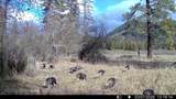 901 Skookum Creek Rd - Photo 47