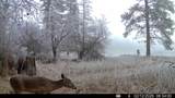 901 Skookum Creek Rd - Photo 48
