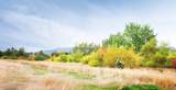 22521 Penrose Ln - Photo 33