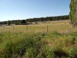3716 Westwood Ln - Photo 33