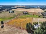 9102 Forker Rd - Photo 49
