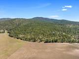 5521C Happy Hill Rd - Photo 44