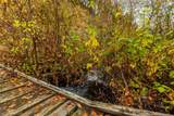 8 Camden Rd - Photo 20