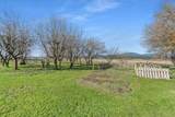 3095 Waitts Lake Rd - Photo 42