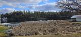 19012 Pommier Rd - Photo 43