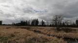 71 Frissell Rd - Photo 6