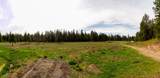 27509 Perry Rd - Photo 44