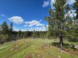 13312 Nelson Rd - Photo 17