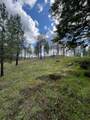 13312 Nelson Rd - Photo 19