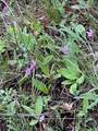 13312 Nelson Rd - Photo 20