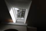 604 West St - Photo 25