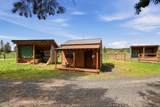 10420 Dunn Rd - Photo 41