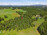 10420 Dunn Rd - Photo 49