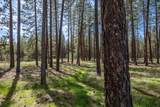 7506 Johannsen Ln - Photo 32