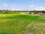 2609 Tiger Lily Ln - Photo 49